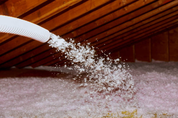 Best Commercial Insulation in Pinehurst, ID